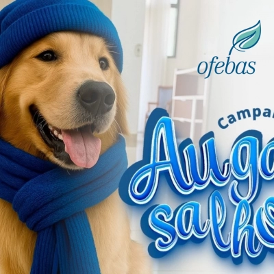 Ofebas realiza campanha do ‘AUgasalho’ para cães e gatos em situação de vulnerabilidade