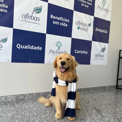 Ofebas lança segunda edição da ‘Campanha do Augasalho’ para cães e gatos em situação de vulnerabilidade