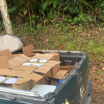 PM Ambiental apreende cerca de 162 kg de palmito sem nota fiscal em São Miguel Arcanjo