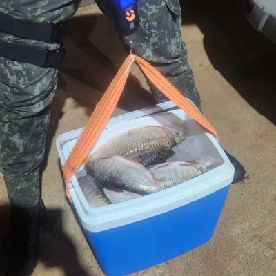 Polícia Militar Ambiental apreende mais de 26 kg de peixes e redes proibidas em Cerquilho