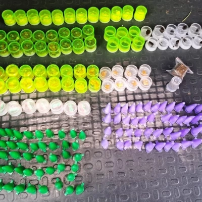 GCM apreende 172 porções de drogas durante patrulhamento no Jardim Nova Manchester