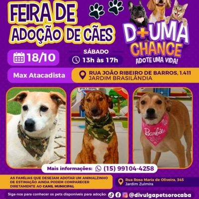 Prefeitura de Sorocaba promove dia de adoção de cães no Jardim Brasilândia neste sábado (18)