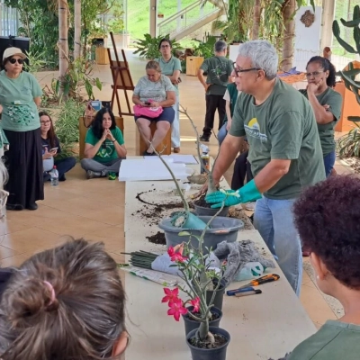 Oficina no Jardim Botânico de Sorocaba apresenta passo a passo de enxertia na rosa-do-deserto