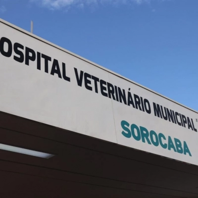 Hospital Veterinário Municipal “Cão Mayke” funcionará para casos de urgência e emergência neste fim de ano