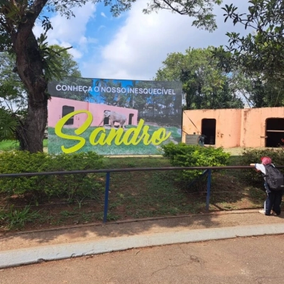 Elefante Sandro ganha homenagem no Zoológico de Sorocaba
