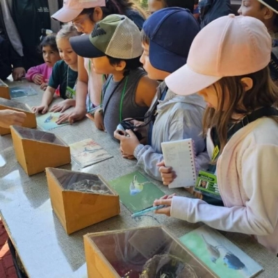 Encontro do Coaves Kids no Parque da Água Vermelha destacou curiosidades sobre as aves e seus ninhos