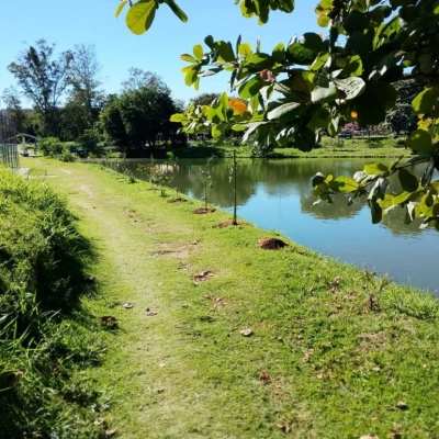 Prefeitura de Sorocaba realiza plantio de 40 mudas de árvores no Parque dos Espanhóis