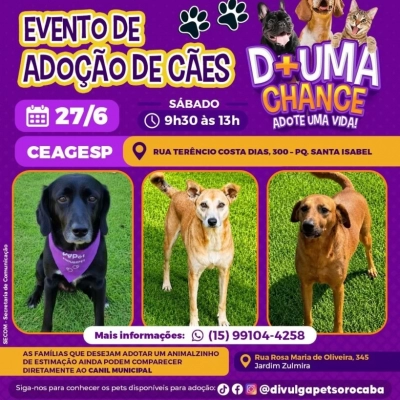 CEAGESP recebe evento de adoção de cães do Canil Municipal de Sorocaba neste sábado (27)
