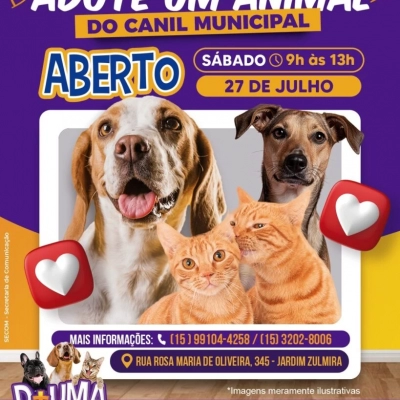 Canil Municipal de Sorocaba é aberto para adoção responsável de cães e gatos neste sábado (27)
