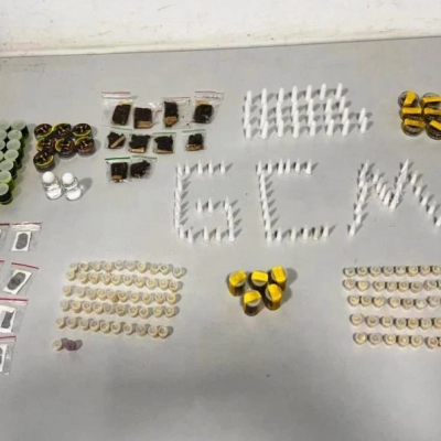 GCM apreende 262 porções de drogas no Parque São Bento