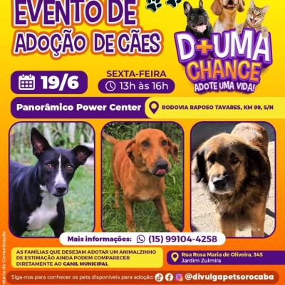 Panorâmico Power Center recebe evento de adoção de cães do Canil Municipal de Sorocaba nesta sexta-feira (19)