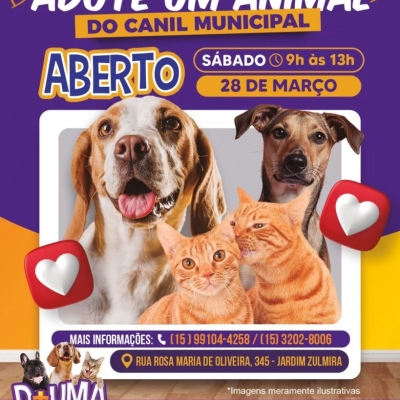 Canil Municipal de Sorocaba estará de portas abertas para adoção responsável de cães e gatos no dia 28 de março