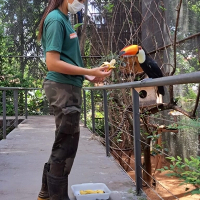 Zoológico de Sorocaba tem programação especial de férias neste mês de julho