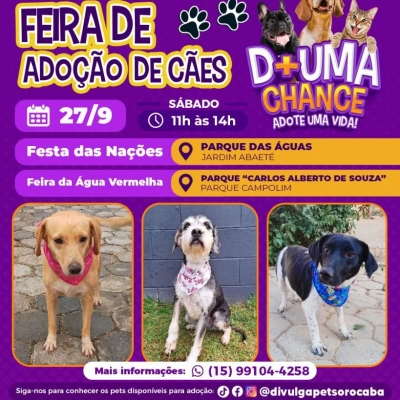 Feira de adoção de cães do Canil Municipal ocorrerá em dois locais simultâneos na cidade