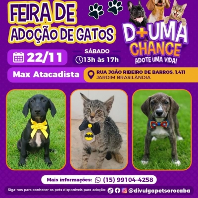 Prefeitura de Sorocaba promove dia de adoção de cães e gatos no Jardim Brasilândia neste sábado (22)