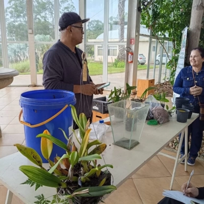 Oficina no Jardim Botânico de Sorocaba ensina como cultivar orquídeas