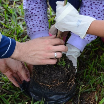 Prefeitura de Sorocaba realiza plantio de 150 árvores nativas no Parque das Águas