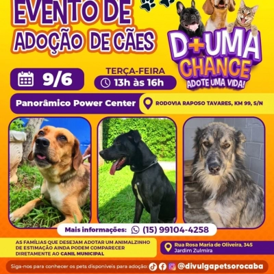 Panorâmico Power Center recebe evento de adoção de cães do Canil Municipal de Sorocaba nesta terça-feira (9)