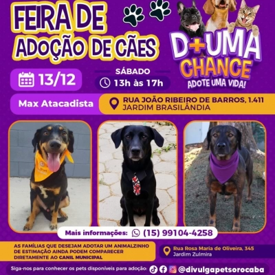 Prefeitura de Sorocaba promove dia de adoção de cães no Jardim Brasilândia neste sábado (13)
