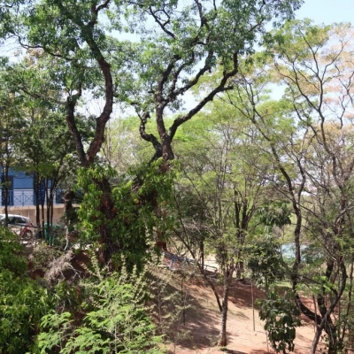 Parque Natural Ouro Fino é fechado temporariamente ao público para obras de revitalização