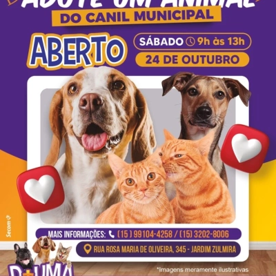 Canil Municipal de Sorocaba é aberto para adoção responsável de cães e gatos no dia 24 de outubro