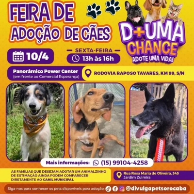 Panorâmico Power Center recebe a feira de adoção de cães do Canil Municipal de Sorocaba nesta sexta-feira (10)