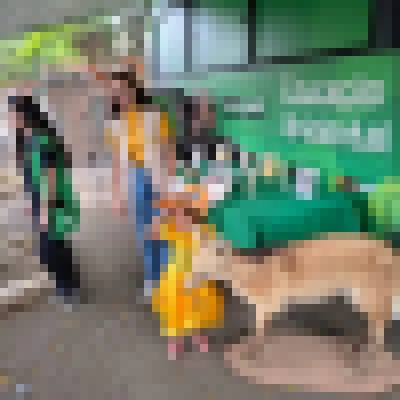 Dia Nacional do Lobo-guará é comemorado com mais de mil pessoas neste domingo (12) no PZMQB