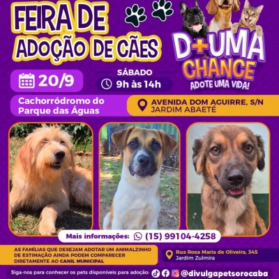 Feira de adoção de cães do Canil Municipal ocorrerá no Parque das Águas neste sábado (20)