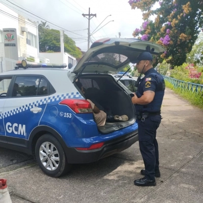 GCM intervém em caso de violência doméstica em Brigadeiro Tobias