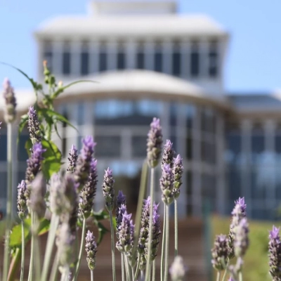 Inscrições abertas para o I Workshop de Plantas Medicinais, Aromáticas e Fitoterápicos no Jardim Botânico de Sorocaba