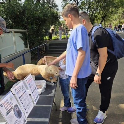 Dia Mundial da Lontra é celebrado com ação no Zoo de Sorocaba
