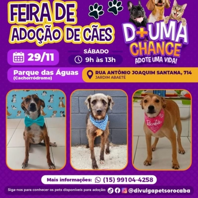 Feira de adoção de cães do Canil Municipal ocorrerá no Parque das Águas neste sábado (29)