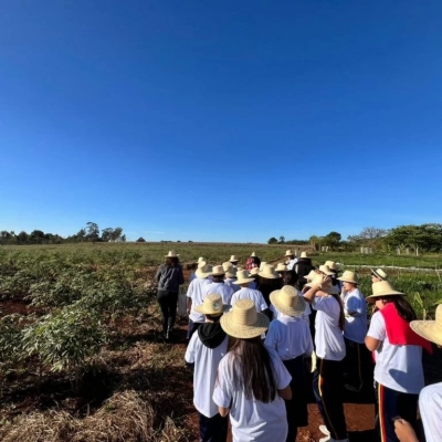 Projeto “Ana Maria Brócolis vai à roça” aproxima alunos do campo e dos alimentos que chegam à merenda escolar