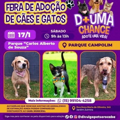 Feira de adoção de cães e gatos do Canil Municipal ocorrerá no Parque Campolim neste sábado (17)