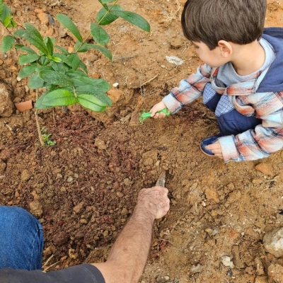 1 mil mudas de árvores nativas serão plantadas no Éden