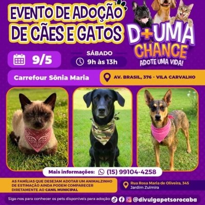 Evento de adoção de cães e gatos do Canil Municipal de Sorocaba estará no Carrefour Sônia Maria neste sábado (9)