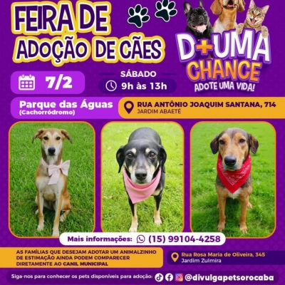Feira de adoção de cães do Canil Municipal ocorrerá no Parque das Águas neste sábado (07)