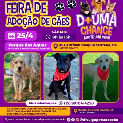 Parque das Águas recebe a feira de adoção de cães do Canil Municipal neste sábado (25)