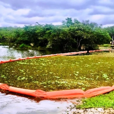 Saae/Sorocaba finaliza limpeza e remoção de plantas aquáticas em lago do Parque Vitória Régia