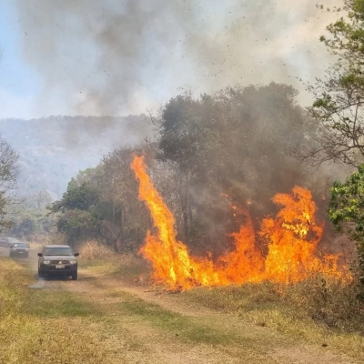 Há três dias, a Floresta Nacional de Ipanema sofre com um incêndio devastador