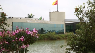 Campanha permanente de conscientização sobre jogos de azar e apostas é instituída por lei