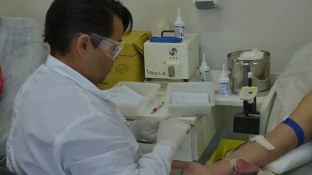 Sintomas da doença falciforme vão além da anemia; saiba mais