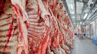 Governo promete reverter veto da UE a carnes e animais brasileiros