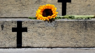 Caso de Itumbiara acende alerta para violência vicária; entenda