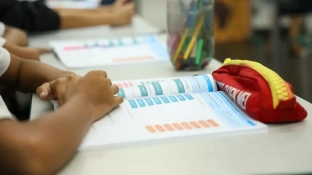 Censo Escolar 2026: dados da 1ª etapa podem ser conferidos até dia 11
