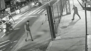 Soldado da PM depõe por ter matado cachorro comunitário em São Paulo