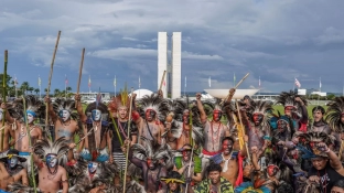 Eleições de 2026 registram recorde de candidaturas indígenas