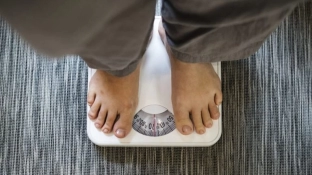 Cientistas descobrem como a obesidade do pai afeta o metabolismo dos filhos
