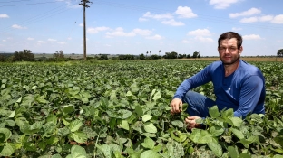 Crédito Rural: conheça os programas de financiamento e saiba como solicitar