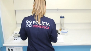Polícia de SP faz coleta de DNA para encontrar desaparecidos; veja como participar